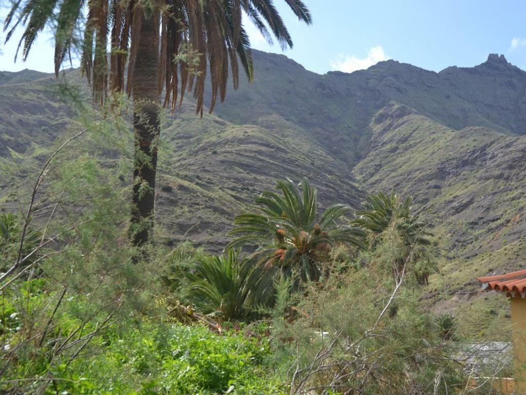 Alojera Casa Los Palmeros Perdomo מראה חיצוני תמונה